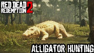 ALLIGATOR HUNTING  RED DEAD REDEMPTION 2 FUNNY MOMENTS [upl. by Sitruc885]