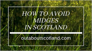 How to Avoid Midges in Scotland [upl. by Ised]