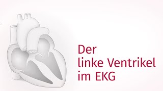 Der linke Ventrikel im EKG – EKG befunden  ekgtraining [upl. by Romine]