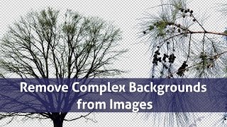 Remove Complex Backgrounds from Images in Photoshop [upl. by Eillac233]