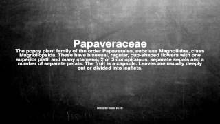 Medical vocabulary What does Papaveraceae mean [upl. by Yren]