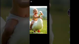 Cute baby laugh cute baby wildlife [upl. by Leigha267]