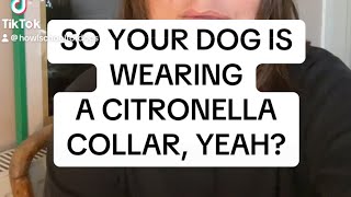 So your barking dog is wearing a citronella collar [upl. by Yenahpets]