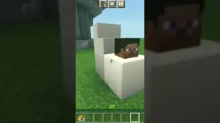 SKIBIDI TOILET TRENDS IN MINECRAFT shortsvideolikesubscribe [upl. by Noitsirhc992]