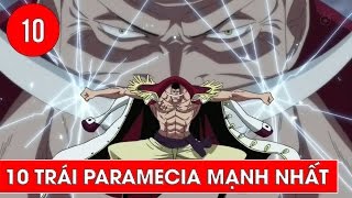 Top 10 trái ác quỷ hệ Paramecia mạnh nhất trong One Piece [upl. by Esertak140]