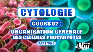 CYTOLOGIE 1ère année  Organisation Générale de la Cellule Procaryote  Partie 2 [upl. by Suryt]