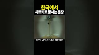 한국에서 치트키로 통하는 문장 [upl. by Stafani]