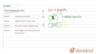 Plasmodesmata are [upl. by Lorna320]