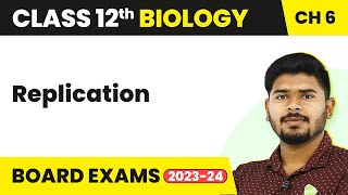 Replication  Molecular Basis of Inheritance  Class 12 Biology 202223 [upl. by Horwitz157]