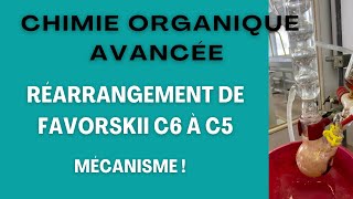 Réarrangement de Favorskii C6 à C5 [upl. by Wilonah176]