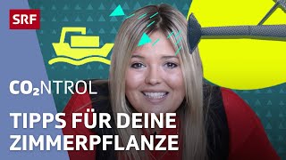 Pflanzenapp oder Ablegerzucht – Tipps für nachhaltige Zimmerpflanzen 44  CO2ntrol  SRF Wissen [upl. by Alli]