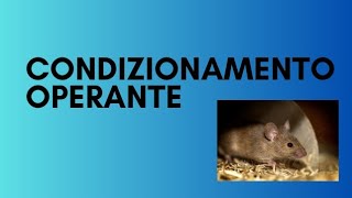 PSICOLOGIA COMPORTAMENTALE rinforzi e punizioni [upl. by Edrea]