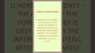 INFERIOR MESENTERIC ARTERY ANATOMY shorts [upl. by Colier]