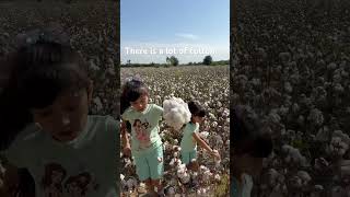 Picking cotton￼￼ [upl. by Mamie953]