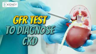 GFR Test To Diagnose Chronic Kidney Disease CKD  Glomerular Filtration Rate [upl. by Button]