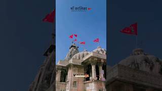 Chittorgarh kalika mata temple shortsfeed song video cmmaharashtra adani jio mukeshambani [upl. by Kristos865]