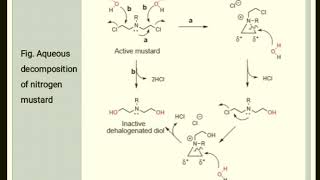 Anticancer AgentAlkylating Agent Medicinal chemistry Session 3 [upl. by Ayoted838]