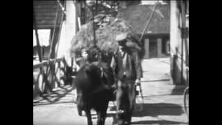 boerderijleven parrega 1953avi [upl. by Dorsman]