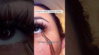 Learn how to fit trim and apply your false eyelashes BampQ Lashes diylashextensions [upl. by Boak355]