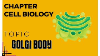 Golgi Apparatus Golgi Body Structure And Function biology cellbiology golgiapparatus [upl. by Halehs463]