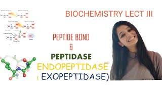 PEPTIDE BONDPeptidaseEndopeptidaseExopeptidaseCSIRNETGATEDBTICMRJAMBiochemistryLecture 3 [upl. by Naga]