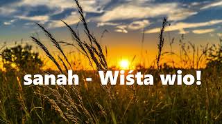 sanah  Wiśta wio 1h tekst bez reklam 1hour Lyrics [upl. by Utica721]