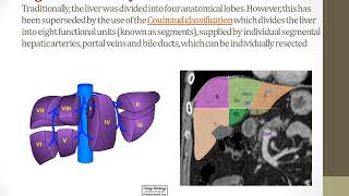 Radiological anatomy 5 [upl. by Clapp]