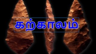 தமிழக வரலாறு  2 கற்காலம்  Stone age [upl. by Esikram]