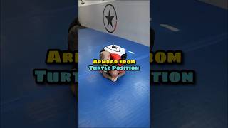 Armbar from turtle [upl. by Schroer]