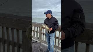 Tybee Island Pier and Fishing [upl. by Solange]