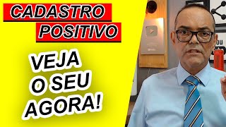 VEJA AGORA O SEU CADASTRO POSITIVO PARA SABER O QUE ESTÃ ACONTECENDO COM SEU CPF [upl. by Eizzo]