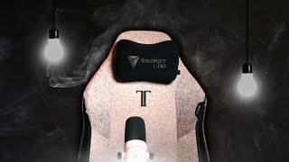 I Spent 2 Years with Secretlab Titan Evo and My Back Pain DISAPPEARED [upl. by Carbrey]