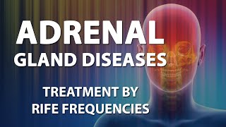 Adrenal Gland Diseases  RIFE Frequencies Treatment  Energy amp Quantum Medicine with Bioresonance [upl. by Yak]