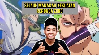 Sejauh Manakah Kekuatan Roronoa Zoro Teori One Piece Malaysia [upl. by Forbes]