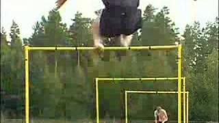 Stefan Holm Hurdles Training [upl. by Atiuqcaj]