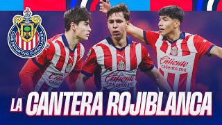 Así fue la actuación de la cantera de Chivas en el partido vs Santos [upl. by Aztirak]