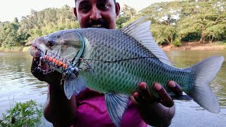 Octopus Hook Fishing അന്തകനായി പുതിയൊരു അവതാരം നീരാളി ചൂണ്ട തീറ്റിയിൽ തൊട്ടാൽ കുടുങ്ങും [upl. by Beau]