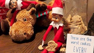 Elf on the Shelf Elves Eat Dog Treats Elfs Dress Puppy Like Elf Pets Day 24 [upl. by Netsriik]