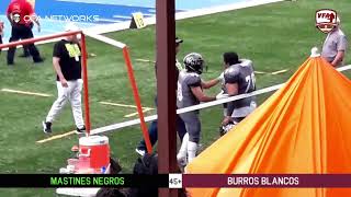 VFA Gold Bowl 2024 Sem 7 Mastines Negros vs Burros Blancos [upl. by Dyob848]