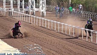 GLADIADOR VS HIJA DEL VIENTO  CARRERAS DE CABALLOS  DE LA GARZA PHOTOFINISH [upl. by Hofmann104]