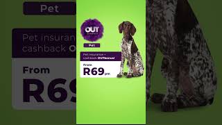 OUTsurance Pet l German Shepherds [upl. by Durstin204]