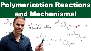 Polymerization Reactions Exploring Radical Cationic Anionic and Condensation Polymerization [upl. by Biron641]