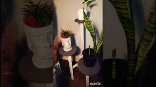 Diy standing plant stand How to make tiered plant stand diy scrapwood woodworkingprojects howto [upl. by Mossberg]