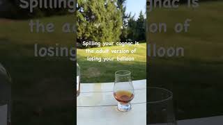 Spilling your cognac sucks😩😩😩 whisky cognac alcohol wine [upl. by Handal601]