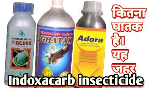 IndoxacarbInsecticideक्या ये अधिक घातक है farmingwithsanyog indoxacarbinsecticide pesticide [upl. by Gurango]