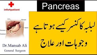 Lablaba  Pancreas Cancer Healthy With Dr Mansab Ali [upl. by Cristine]