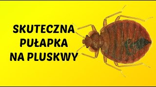 Czym zwalczyć pluskwy  Zwalczanie [upl. by Rudolf]