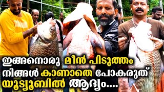 ഇതാണ് മക്കളെ മീൻ പിടുത്തം Frist In Youtube  Fish Farming Malayalam  Fish Farming In Kerala [upl. by Keeryt85]