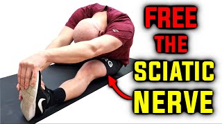 Sciatic nerve The real reason behind tight hamstrings [upl. by Elyrad]