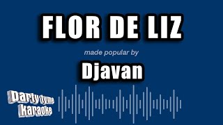 Djavan  Flor De Liz Versão Karaokê [upl. by Malissa633]